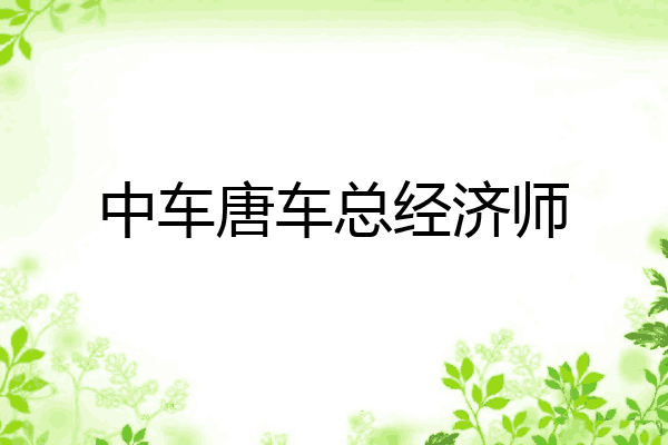 中车唐车总经济师