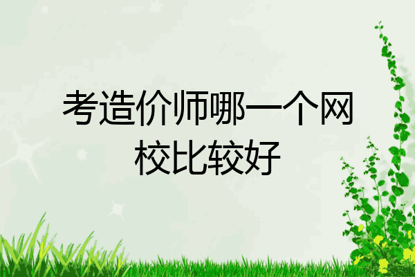 考造价师哪一个网校比较好