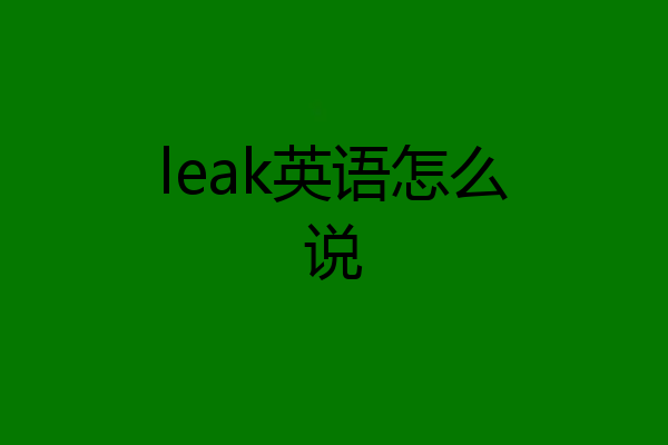 leak英语怎么说