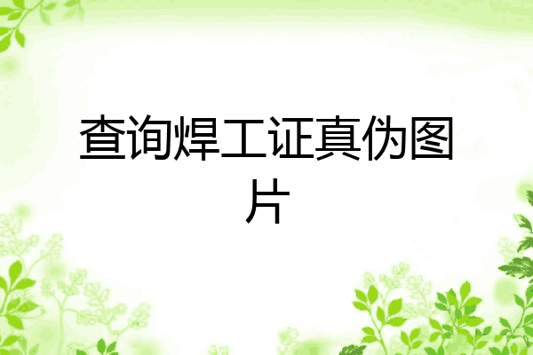 查询焊工证真伪图片