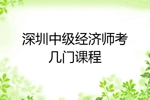 深圳中级经济师考几门课程