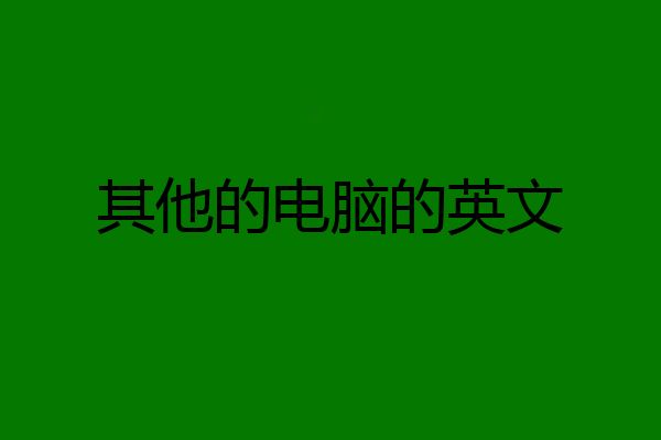 其他的电脑的英文