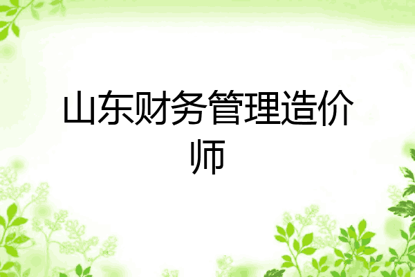 山东财务管理造价师