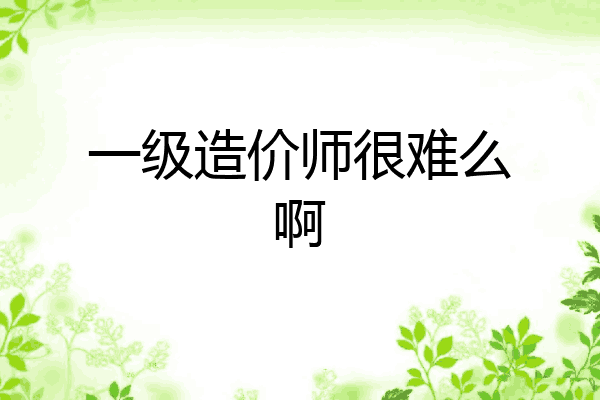 一级造价师很难么啊