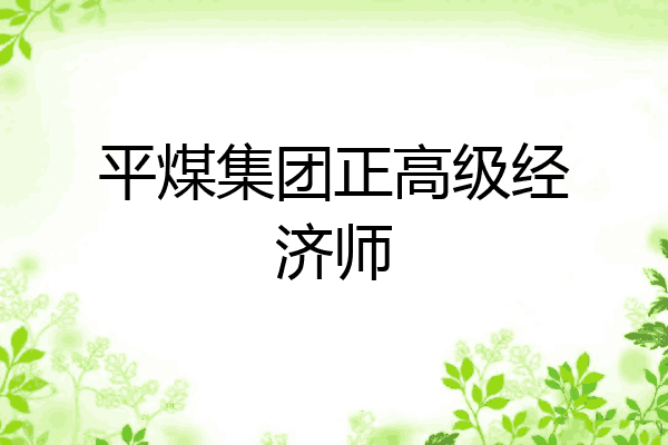 平煤集团正高级经济师