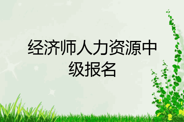 经济师人力资源中级报名