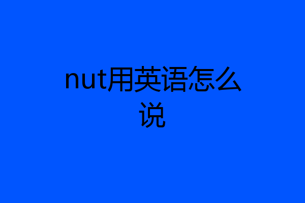 nut用英语怎么说