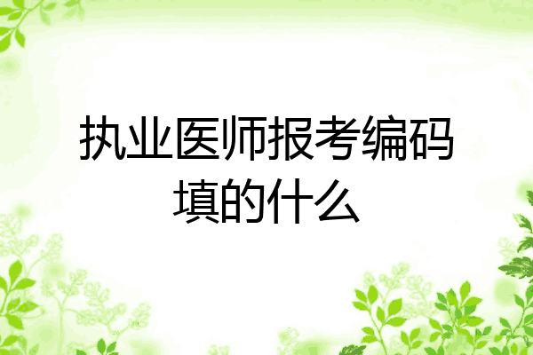 执业医师报考编码填的什么