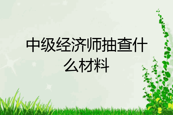 中级经济师抽查什么材料