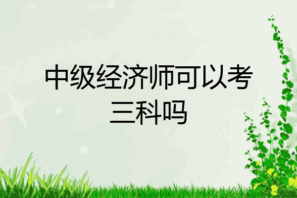 中级经济师可以考三科吗