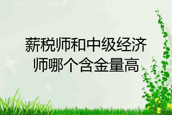 薪税师和中级经济师哪个含金量高