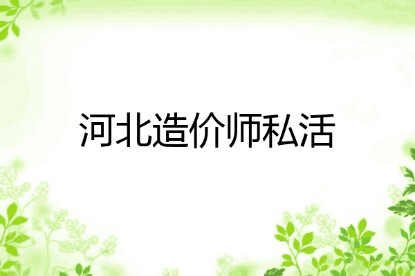 河北造价师私活