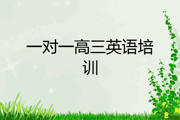 一对一高三英语培训