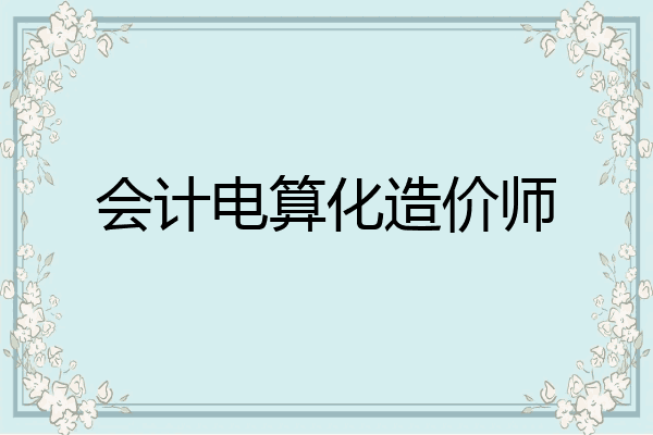 会计电算化造价师