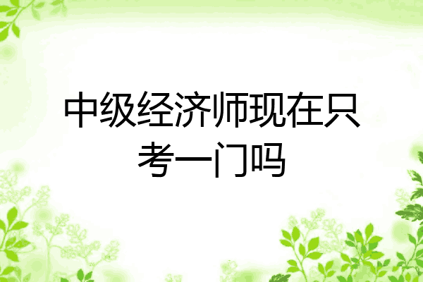 中级经济师现在只考一门吗