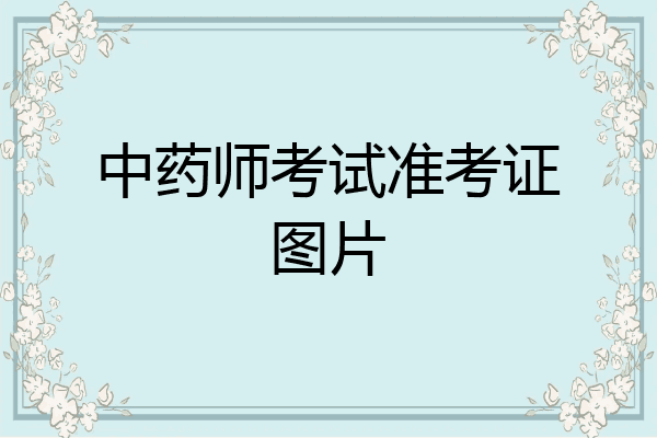 中药师考试准考证图片