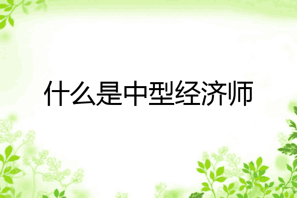 什么是中型经济师
