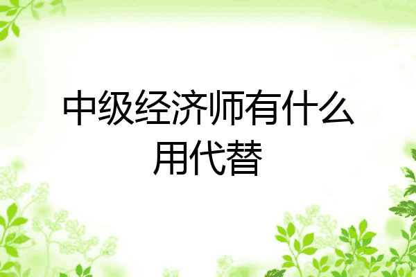 中级经济师有什么用代替