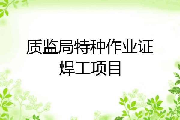 质监局特种作业证焊工项目