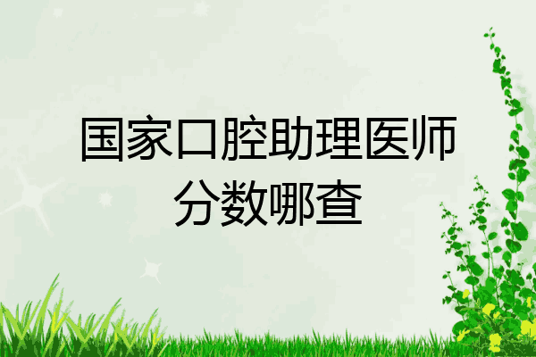 国家口腔助理医师分数哪查