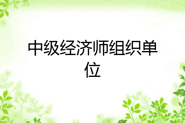 中级经济师组织单位