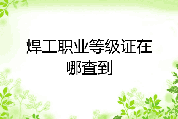 焊工职业等级证在哪查到