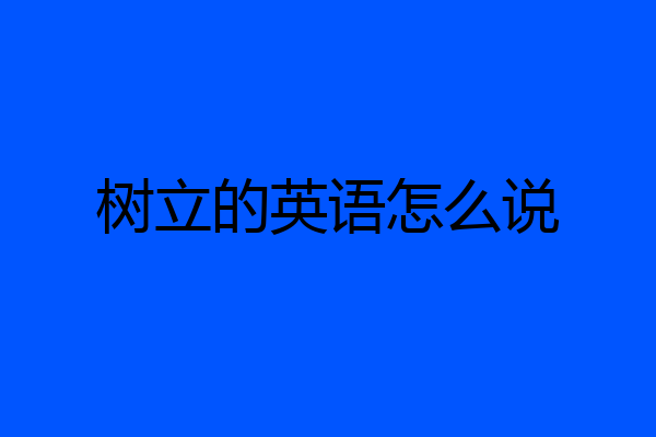 树立的英语怎么说
