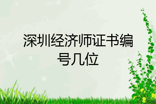 深圳经济师证书编号几位