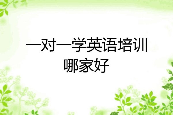 一对一学英语培训哪家好