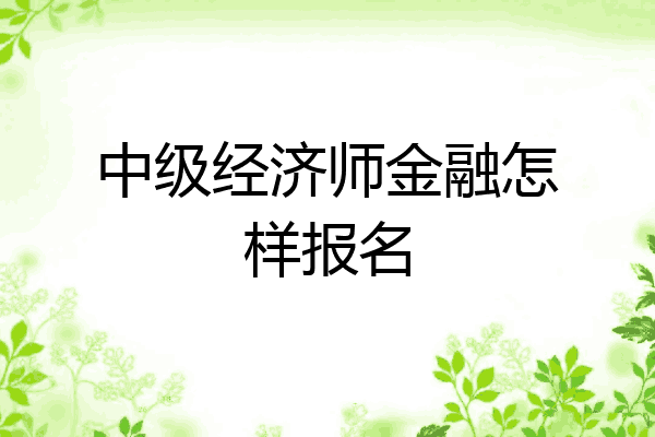 中级经济师金融怎样报名