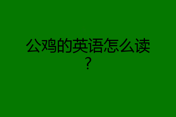 公鸡的英语怎么读?