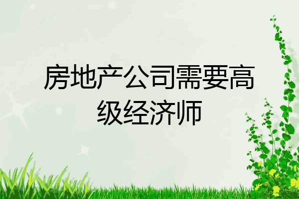 房地产公司需要高级经济师