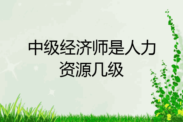 中级经济师是人力资源几级