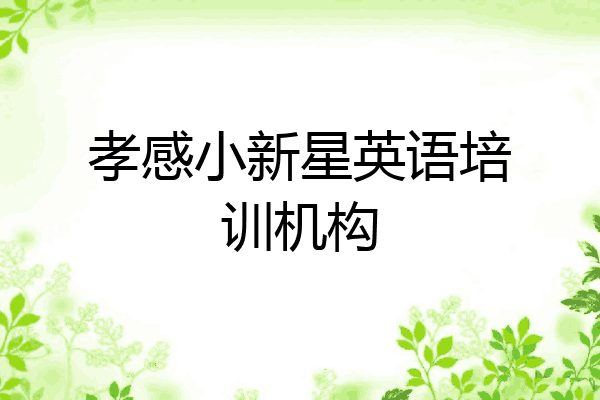 孝感小新星英语培训机构