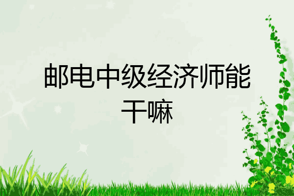 邮电中级经济师能干嘛
