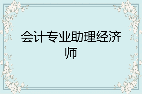 会计专业助理经济师