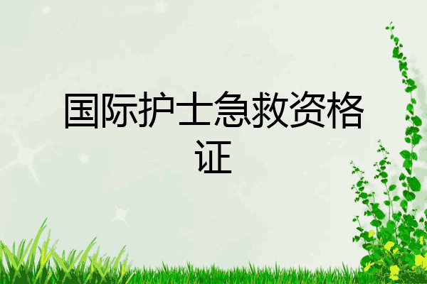 国际护士急救资格证