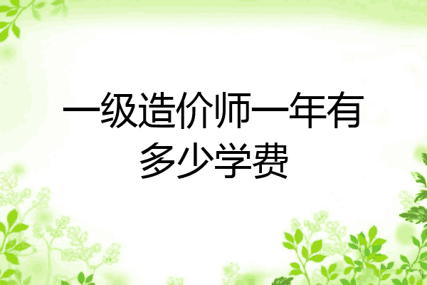 一级造价师一年有多少学费