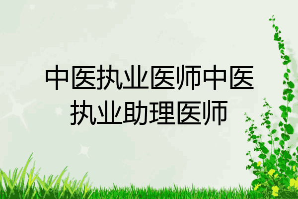 中医执业医师中医执业助理医师