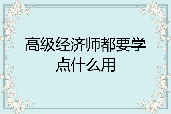 高级经济师都要学点什么用