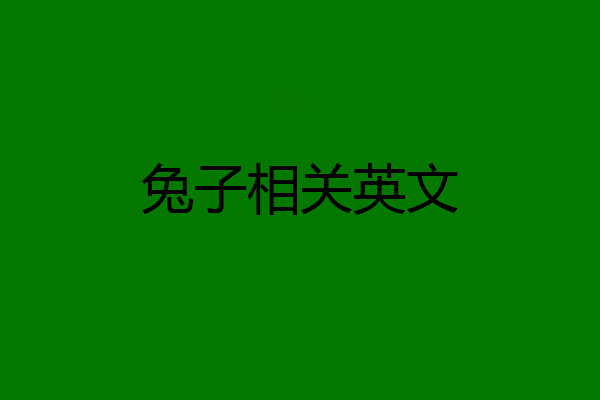 兔子相关英文