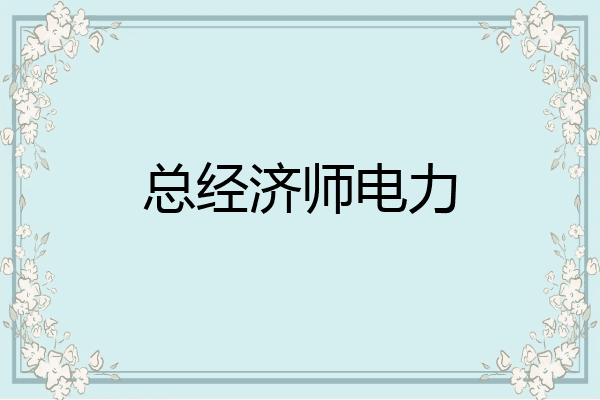 总经济师电力
