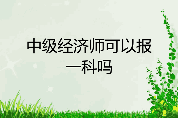 中级经济师可以报一科吗
