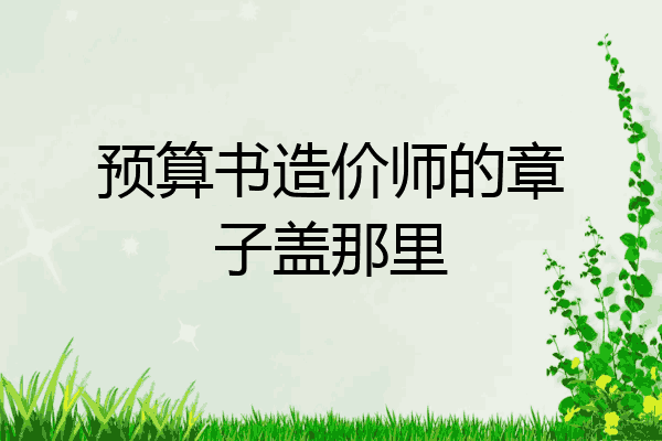 预算书造价师的章子盖那里