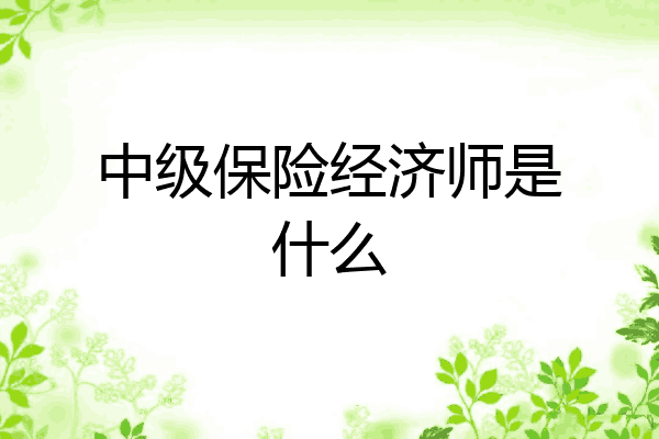 中级保险经济师是什么