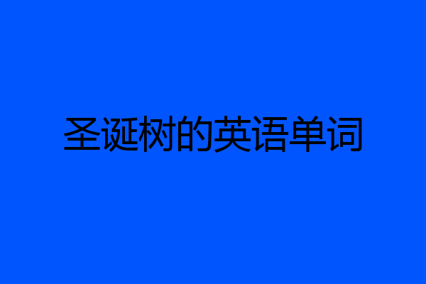 圣诞树的英语单词