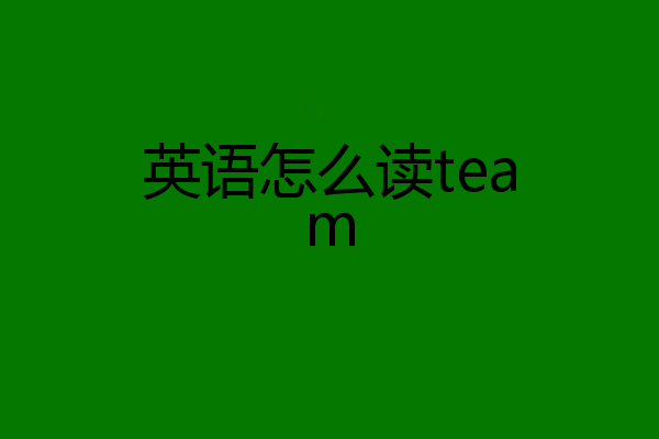 英语怎么读team