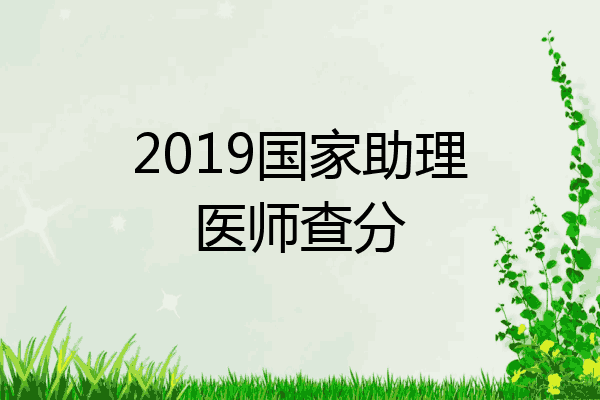 2019国家助理医师查分