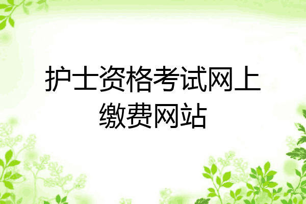 护士资格考试网上缴费网站