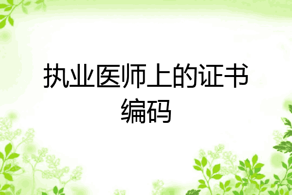 执业医师上的证书编码